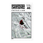 A Beautiful Red Cardinal In The Bushes Covered Wit Stamps