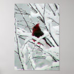 A Beautiful Red Cardinal In The Bushes Covered Wit Posters