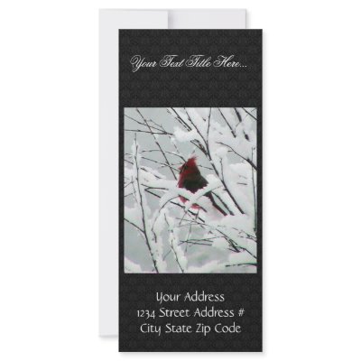 A Beautiful Red Cardinal In The Bushes Covered Wit Full Color Rack Card by animalpark