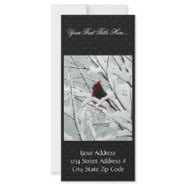 A Beautiful Red Cardinal In The Bushes Covered Wit Full Color Rack Card