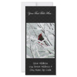 A Beautiful Red Cardinal In The Bushes Covered Wit rack cards