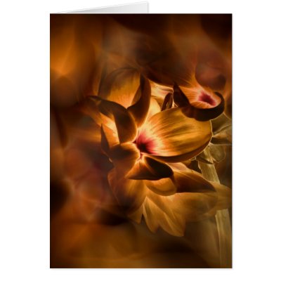A Beautiful Soul Greeting Card by ACornidez