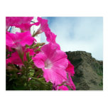 A Beautiful View Postcard