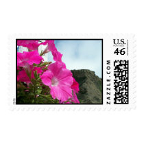 A Beautiful View Stamp