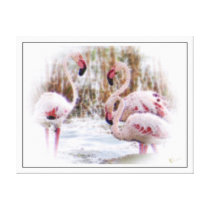A Beautiful World Gallery Wrapped Canvas
