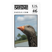 A Beauty postage