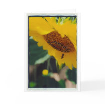 A Bee's Sunny Day! Cards