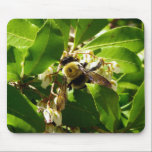 A Bees Texture mousepads