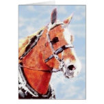 A Belgian Dream, card