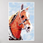 A Belgian Dream, print