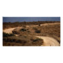 A Bend in the Road Photocard Photo Card
