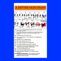 A Better Pain Chart Posters