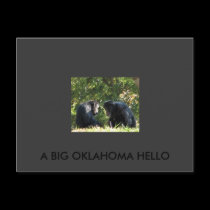 A BIG OKLAHOMA HELLO postcards by tina312 A BIG OKLAHOMA HELLO postcards