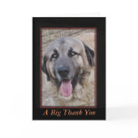 A Big Thank You-customize Greeting Card
