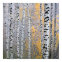 a birch grove in the haze fragment trunks. posters