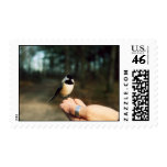 A Bird in the Hand I Stamp