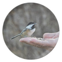 A Bird in the Hand Plate
