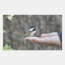 A Bird in the Hand Rectangular Stickers