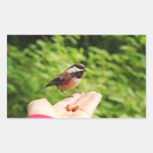 A Bird in the Hand Sticker