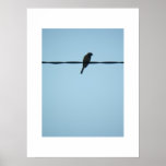A Bird/Poster
