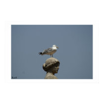 A bird with a view posters