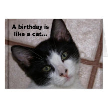 A birthday is like a cat... cards