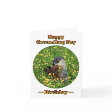 Groundhog Day Birthday Card