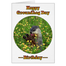 A Birthday on Groundhog Day! Greeting Card