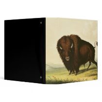 A Bison, c.1832 Vinyl Binder