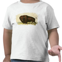A Bison, c.1832 Tee Shirts