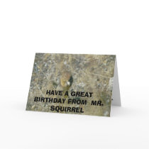 A bithday card from a squirrel