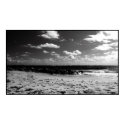 A Black and White Beach Scene posters