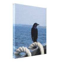 A Black Bird on the Ferry Canvas Prints