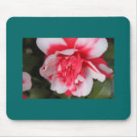 A Bleeding Heart? Mousepad