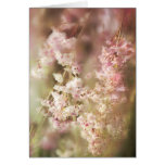 A Blur Of Pink Weeping Willow Greeting Card