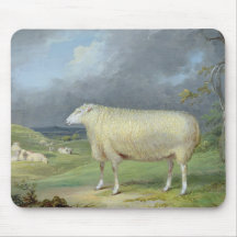 A Border Leicester Ewe (oil on canvas) Mouse Pad