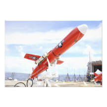 A BQM-74E Chukar drone ready for launch Art Photo