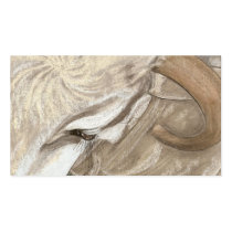A Brama Bulls beauty business cards