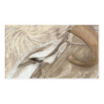 A Brama Bulls beauty Business Card Templates
