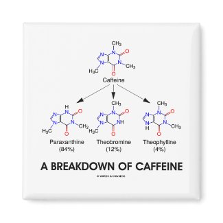 A Breakdown Of Caffeine (Caffeine Metabolites) magnet