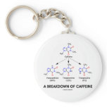A Breakdown Of Caffeine (Chemical Molecules) Key Chains