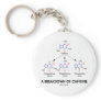 A Breakdown Of Caffeine (Chemical Molecules) Key Chains