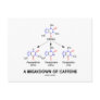 A Breakdown Of Caffeine (Chemical Molecules) Postcard