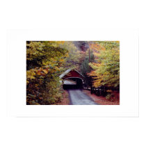 A Bridge In Time posters