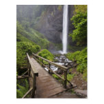 A Bridge Over Columbia River And Latourell Falls Postcards