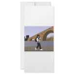 A Bridge View Stroll (digital) Custom Rack Card