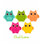 owl, owls, bird, birds, nature, forest, woods,