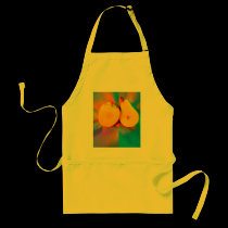 A Bright Happy Pair aprons