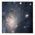 A Bright Supernova in the Nearby Galaxy NGC 2403 posters
