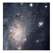 A Bright Supernova in the Nearby Galaxy NGC 2403 posters by alandail A Bright Supernova in the Nearby Galaxy NGC 2403 posters